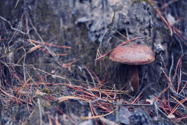 Similar image 8675409