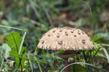 Similar image 8675413