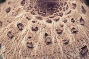 Similar image 8675416