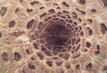 Similar image 8675418