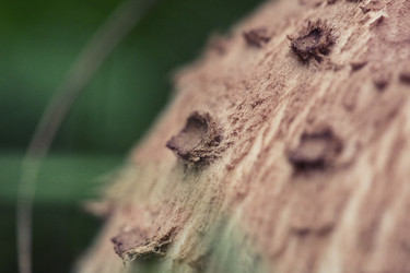 Similar image 8675421