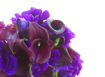 Similar image 8675512