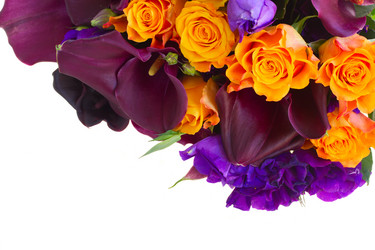 Similar image 8675520