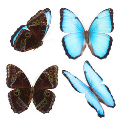 Similar image 8675524