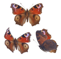 Similar image 8675526