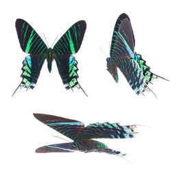 Similar image 8675529