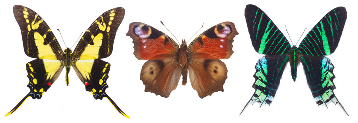 Similar image 8675534