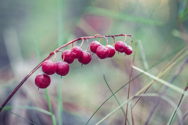 Similar image 8675548