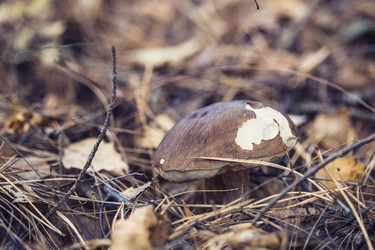 Similar image 8675551