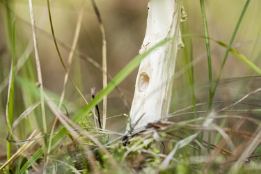 Similar image 8675553