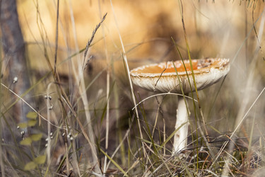 Similar image 8675556