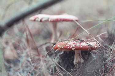 Similar image 8675558