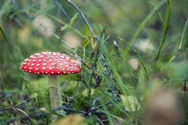 Similar image 8675560