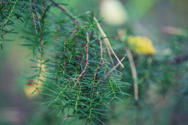 Similar image 8675562