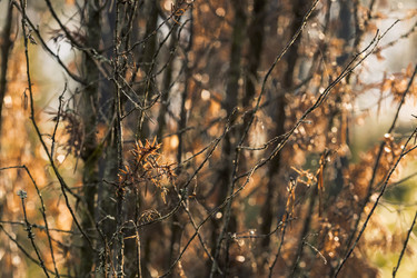 Similar image 8675564