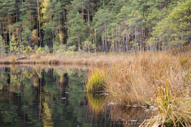 Similar image 8675567