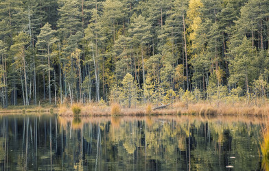 Similar image 8675569