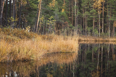 Similar image 8675574