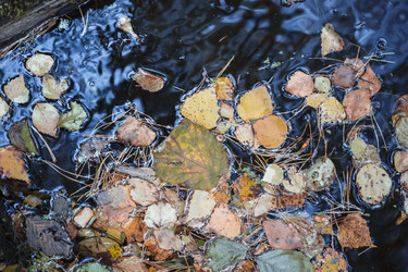 Similar image 8675576