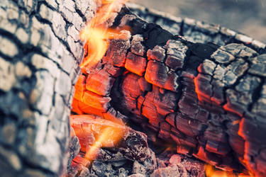 Similar image 8675578