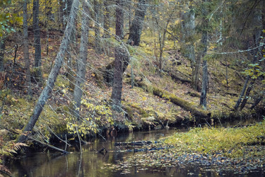 Similar image 8675589