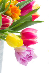 Similar image 8675631