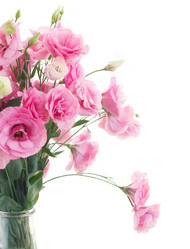 Similar image 8675638