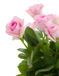 Similar image 8675640