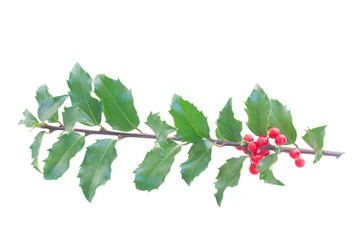 Similar image 8675768