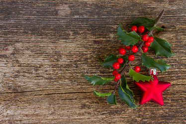 Similar image 8675770