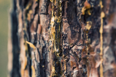 Similar image 8675852