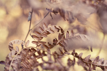 Similar image 8675861