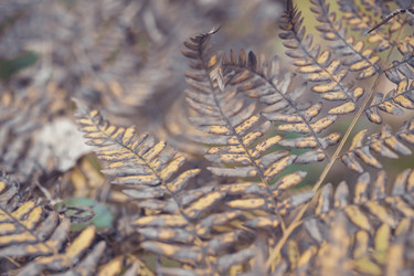 Similar image 8675863