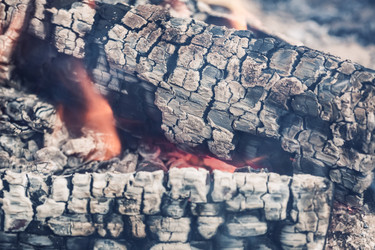 Similar image 8675868