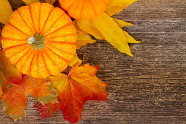 Similar image 8675920