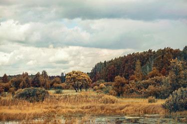 Similar image 8676100