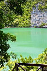 Similar image 8676554