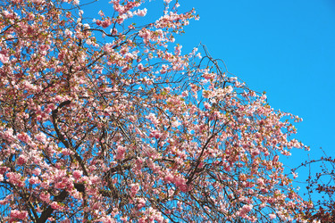 Similar image 8676576