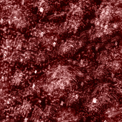 Similar image 8676836