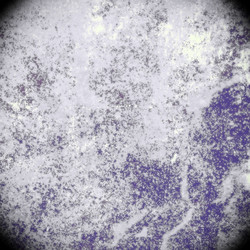 Similar image 8677042