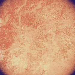 Similar image 8677044