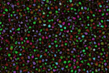 Similar image 8677545