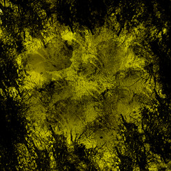 Similar image 8677654