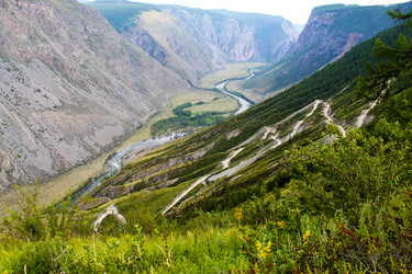 Similar image 8689748