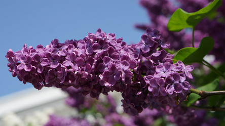 Similar image 8689752