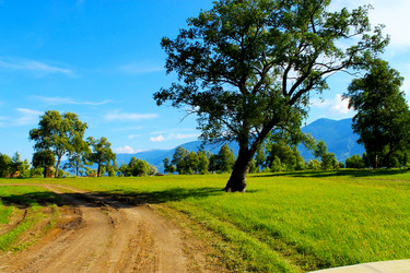 Similar image 8689921