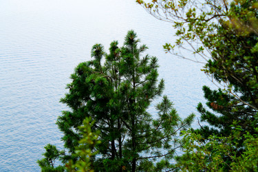 Similar image 8689928