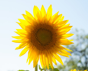 Similar image 8689930