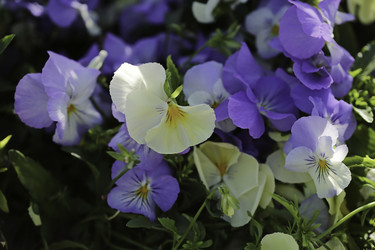 Similar image 8690102