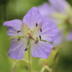 Similar image 8690104